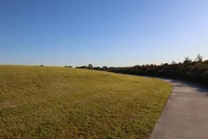 2025-06-21 Bartons Park - IMG_2517_compressed_q50.webp